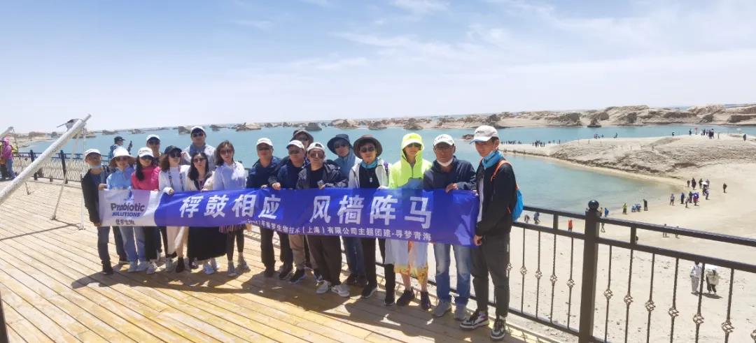 普羅生物團建
